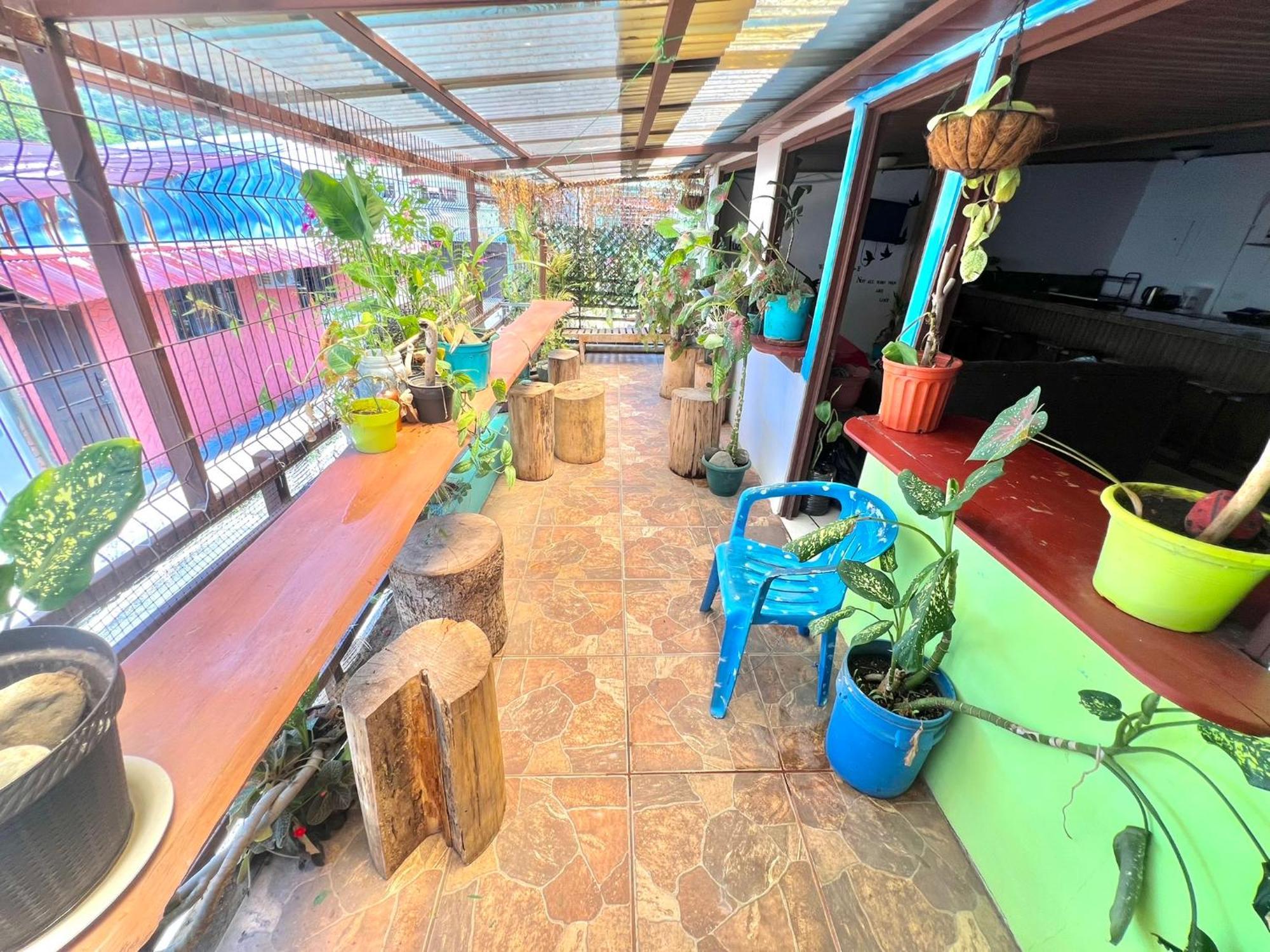 קפוס Passifloras Hostel מראה חיצוני תמונה
