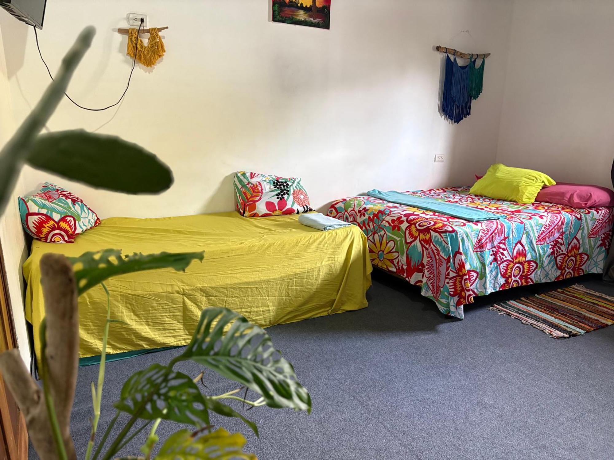קפוס Passifloras Hostel מראה חיצוני תמונה