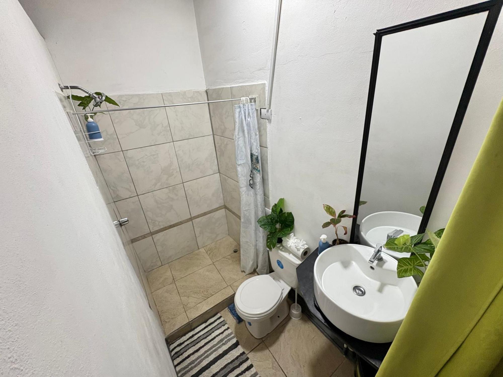 קפוס Passifloras Hostel מראה חיצוני תמונה